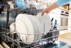 Appliance Repair Flushing