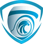 TRUSTED EAGLE SECURITY