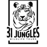 31 Jungle Tours