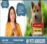 MyPet’s Horoscope