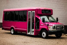 Pink Party Buses