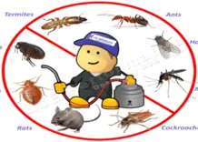 Rapid Shield Pest Control