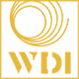 Website Design in India 