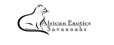 African Savannah - Cats & Kittens for Sale