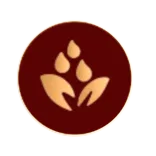 Accounting Services in UAE