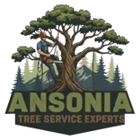 Ansonia Tree Service Experts