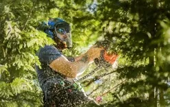 Napa Tree Service Experts