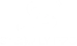 Steamly Pro LLC