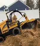 Stump Grinding/Removal | Stump Busters