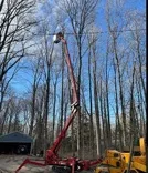 Woodpeckers Tree Services