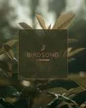 Birdsong by Ratnaakar