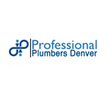 Professional Plumbers Denver