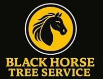 Black Horse Tree Service