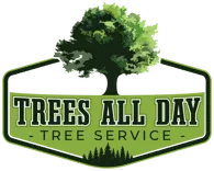 Trees All Day Tree Service