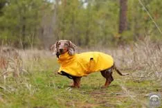Doggie Coats
