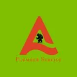 A Plumber Service