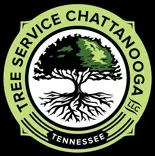 Common Ground Tree Service