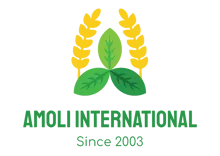 Amoli International