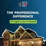 317 Lights