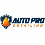 Auto Pro Detailing