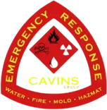 Cavins Group