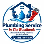 Plumbing Service in The Woodlands