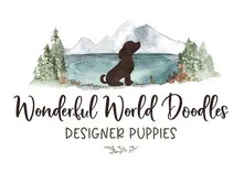 Wonderful World Doodles