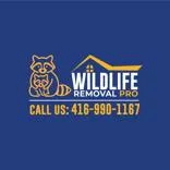 Wildlife Removal Pro Toronto