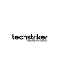 Tech Striker