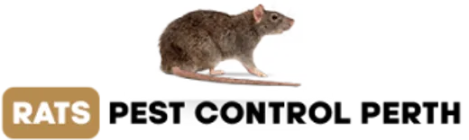 Rats Pest Control Perth