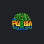 My Florida Tree Guys