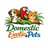 Domestic Exotic Pets