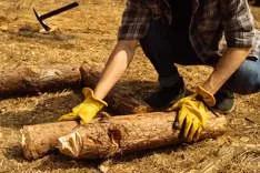 J.Wratten's Tree Services ,landscaping and home improvement
