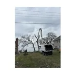 Premier Tree & Landscaping