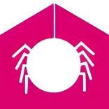 Jumping Spider Media