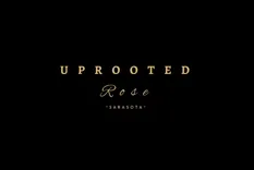 Uprooted Rose - Luxury Flowers Sarasota