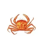 Crab Hot Lau (Granville)