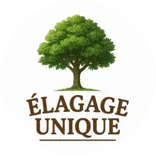 Élagage Unique - Granby