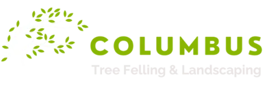 Columbus Tree Felling 