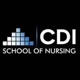 Career Development Institute