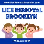 Brooklyn Lice Experts