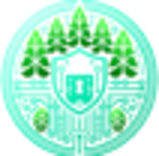 Cyberfores