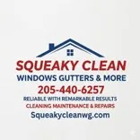 Squeaky Clean Windows, Gutters & More