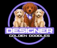 Designer Golden Doodle Puppies