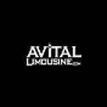AVITAL CHICAGO PARTY BUS AND LIMOUSINE