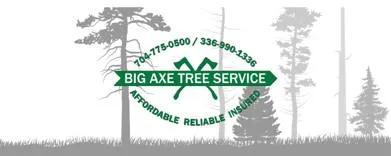 Big Axe Tree Service LLC