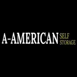A-American Self Storage - Webster