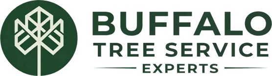 Buffalo Tree Service Experts