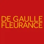 De Gaulle Fleurance and Associes