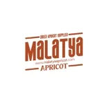 Malatya Apricot